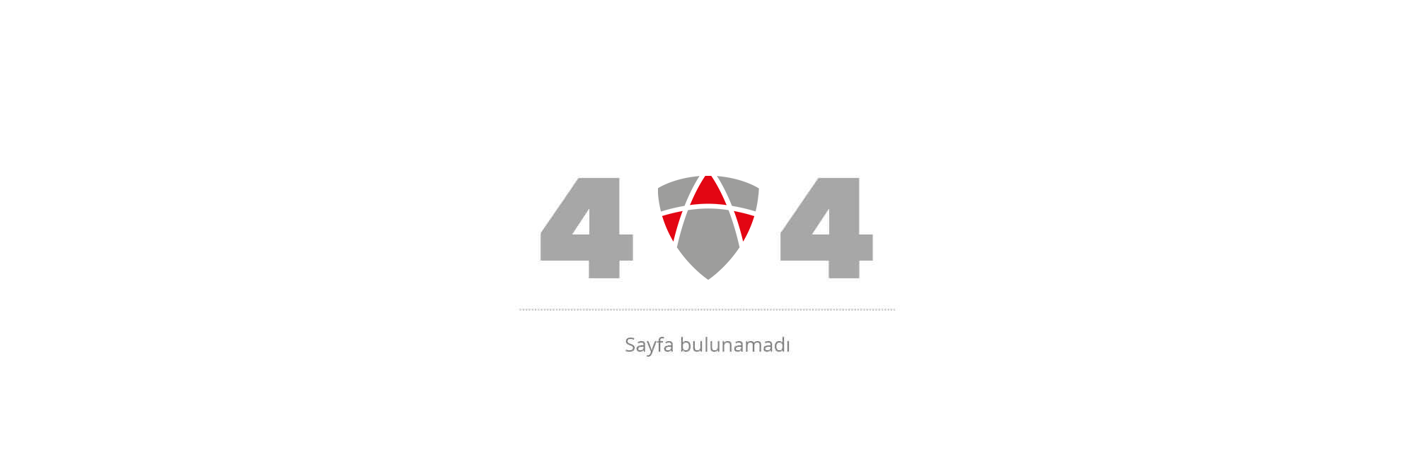 404 Görseli