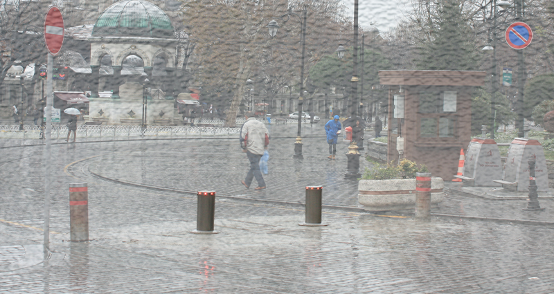 Mantar Bariyer Nedir